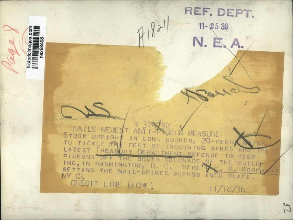 1936 Press Photo HK Woodward & anti pigeon nail beds at DC Treasury Department