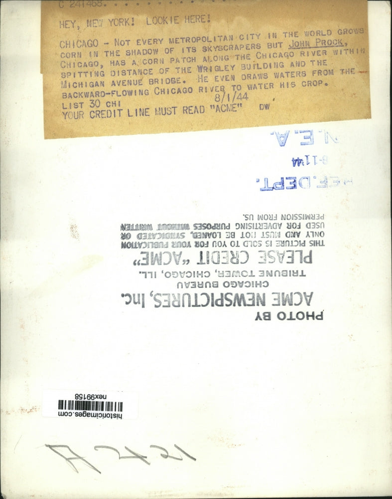 1944 Press Photo John Prock Corn Patch Along Chicago River - nex99158