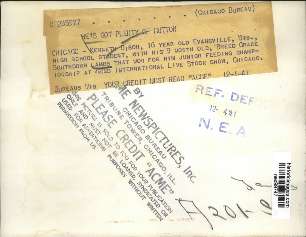 1941 Press Photo Kenneth Disch Age 16 & His Breed Grade Southdown Lambs