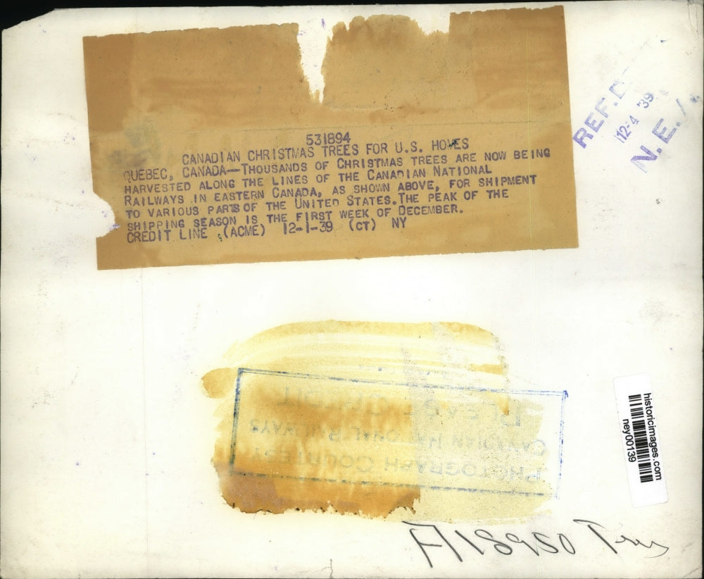 1939 Press Photo Christmas Trees Being Harvested Along Canadian National Railway