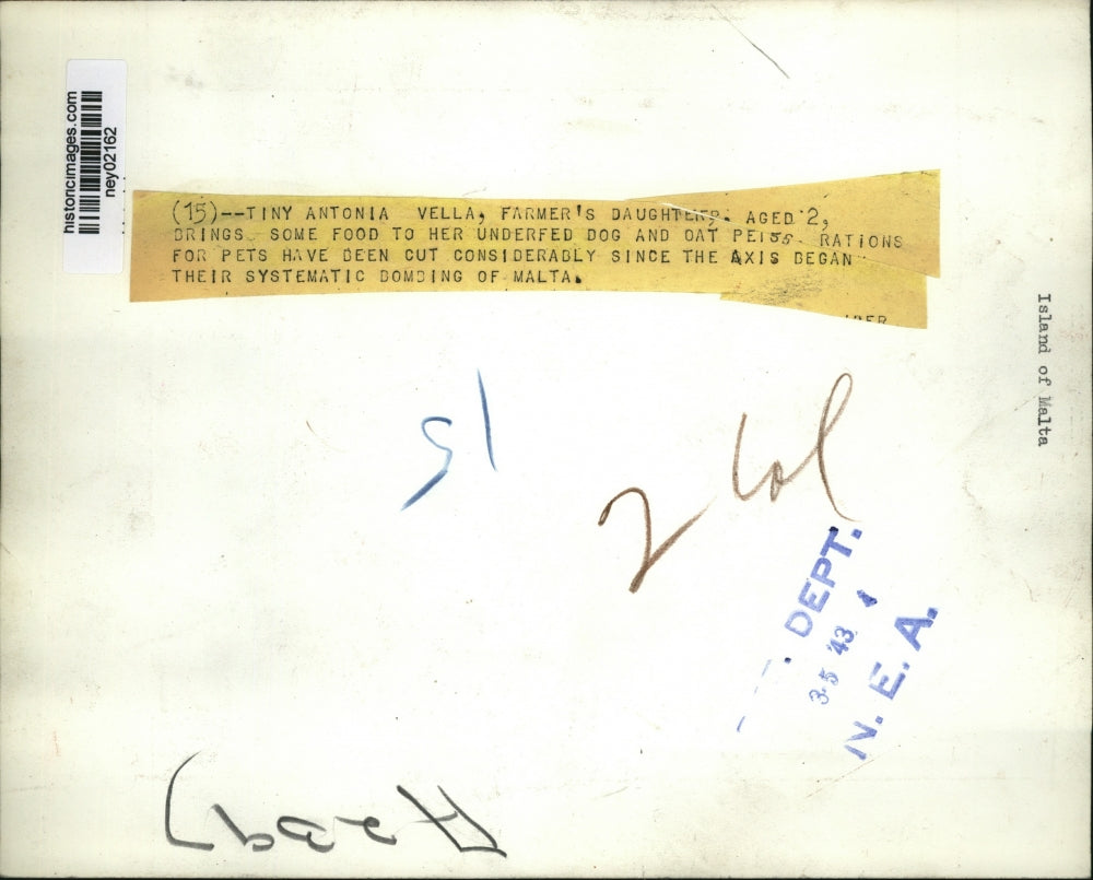 1943 Press Photo Anotnia Vella Farmer Daughter Shares Food with Pets After Bomb