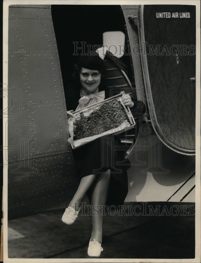 Load image into Gallery viewer, 1933 Press Photo Pres deValern of Ireland sends shamrocks to Hayward, Calif show
