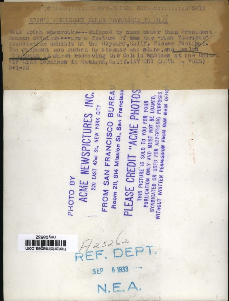 1933 Press Photo Pres deValern of Ireland sends shamrocks to Hayward, Calif show