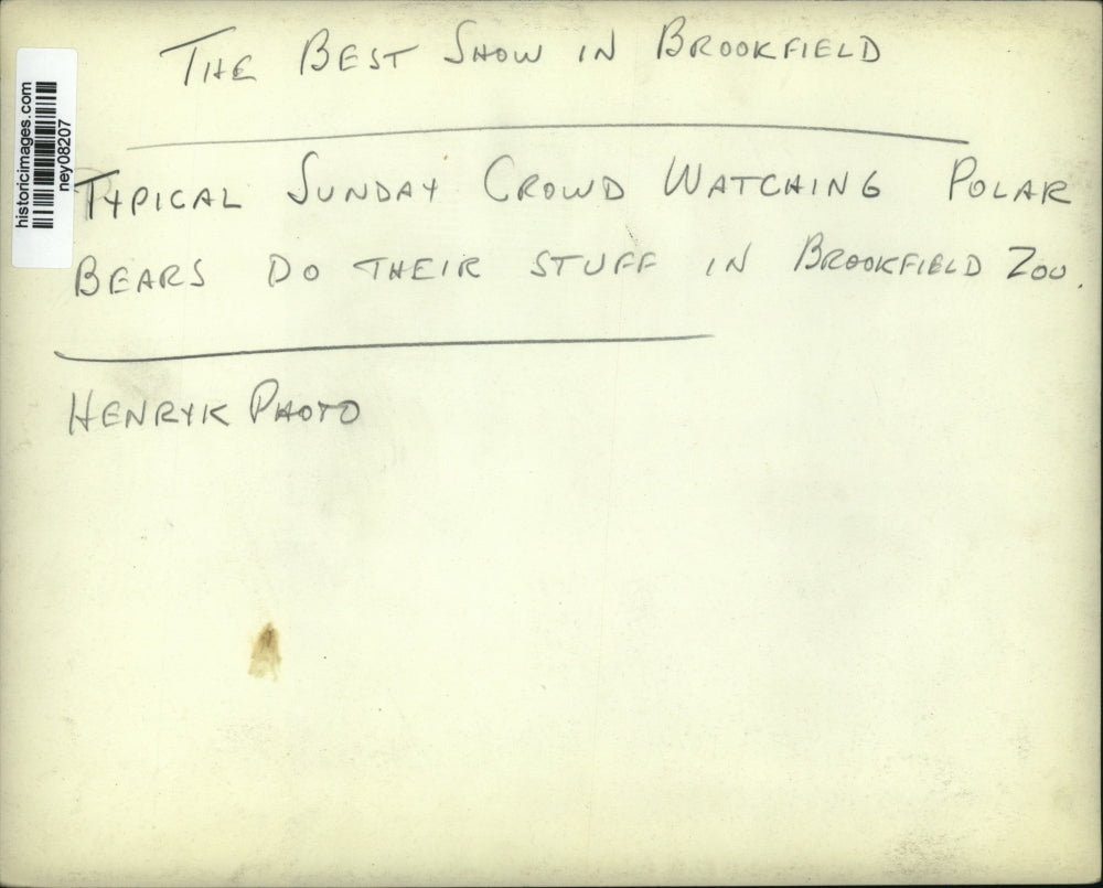 Press Photo Crowd at Brookfield Zoo Watch Polar Bears - ney08207