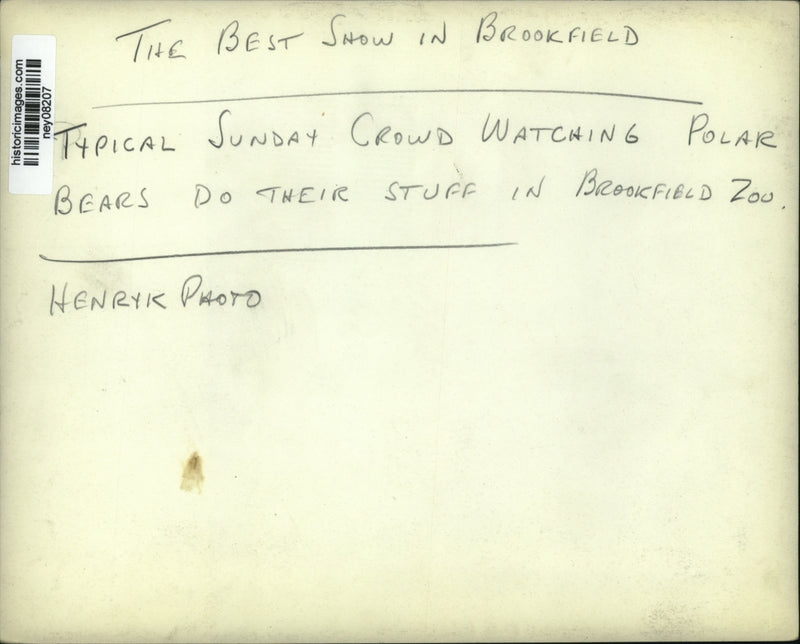 Load image into Gallery viewer, Press Photo Crowd at Brookfield Zoo Watch Polar Bears - ney08207
