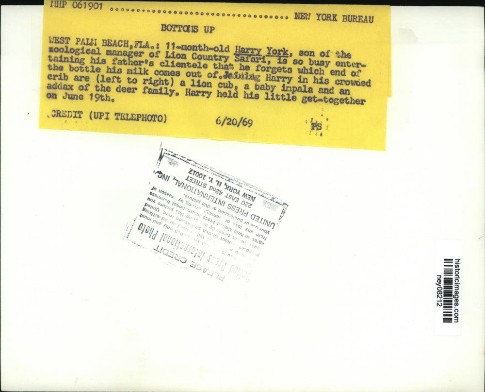 1969 Press Photo Harry York Staring At The Animals On His Crib - ney08212