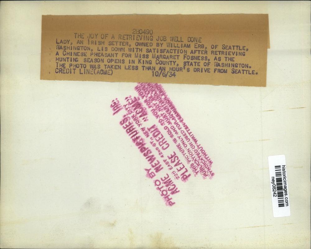 1934 Press Photo Lady Irish Setter & Owner William Erb Teaching Retrieving