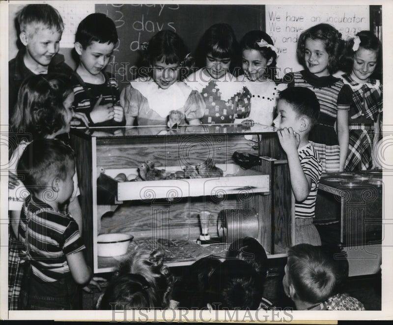 Load image into Gallery viewer, 1952 Press Photo Eighth Street School first graders watch chicken lay eggs
