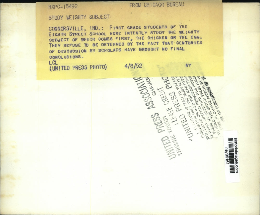 1952 Press Photo Eighth Street School first graders watch chicken lay eggs