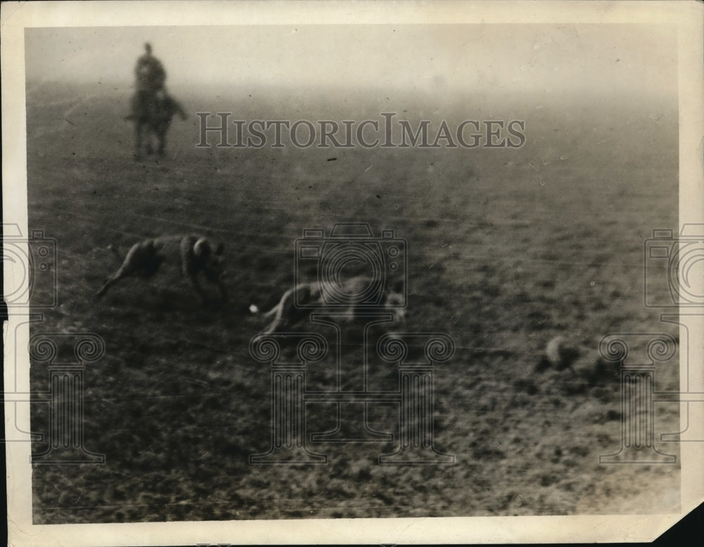 1919 Press Photo The Race Between Melshan Feline And Prince Pretty Face- Historic Images