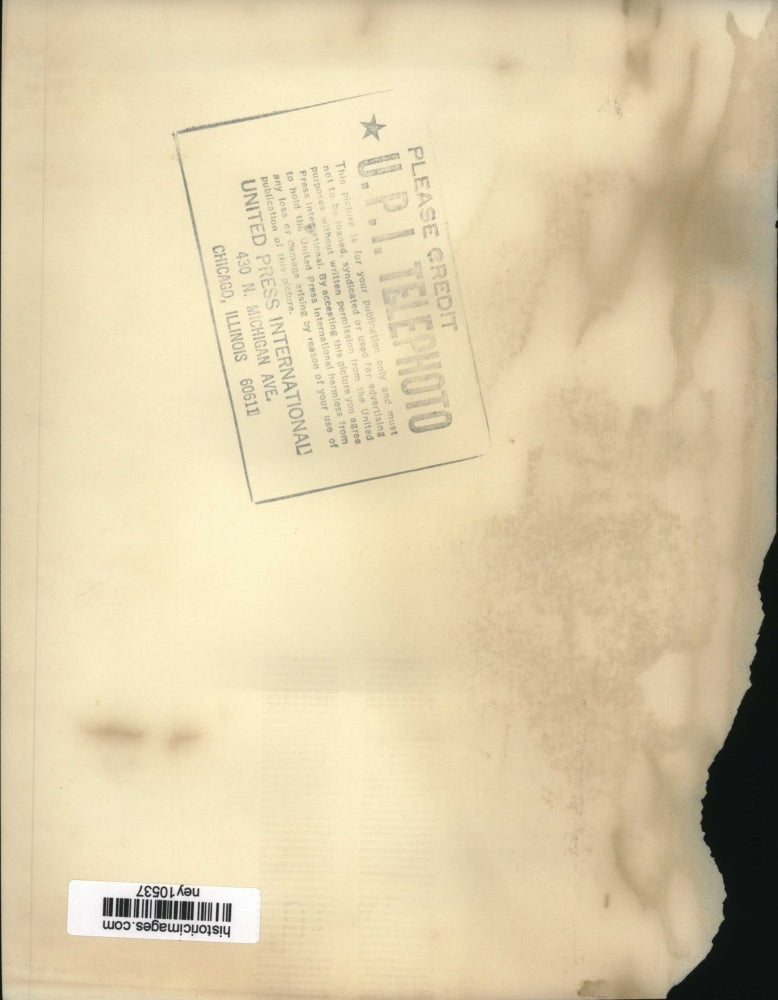 Press Photo Barcelona Zoo's White Ape Caught in Spanish Guinea - ney10537