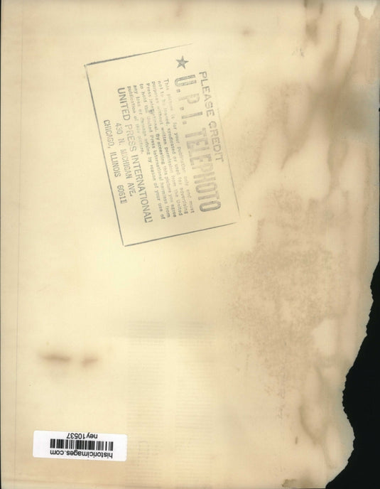 Press Photo Barcelona Zoo's White Ape Caught in Spanish Guinea - ney10537