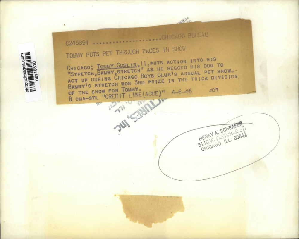 1946 Press Photo Tommy Goblin Age 11 & His Dog Bamby 3rd Prize in Dog Show