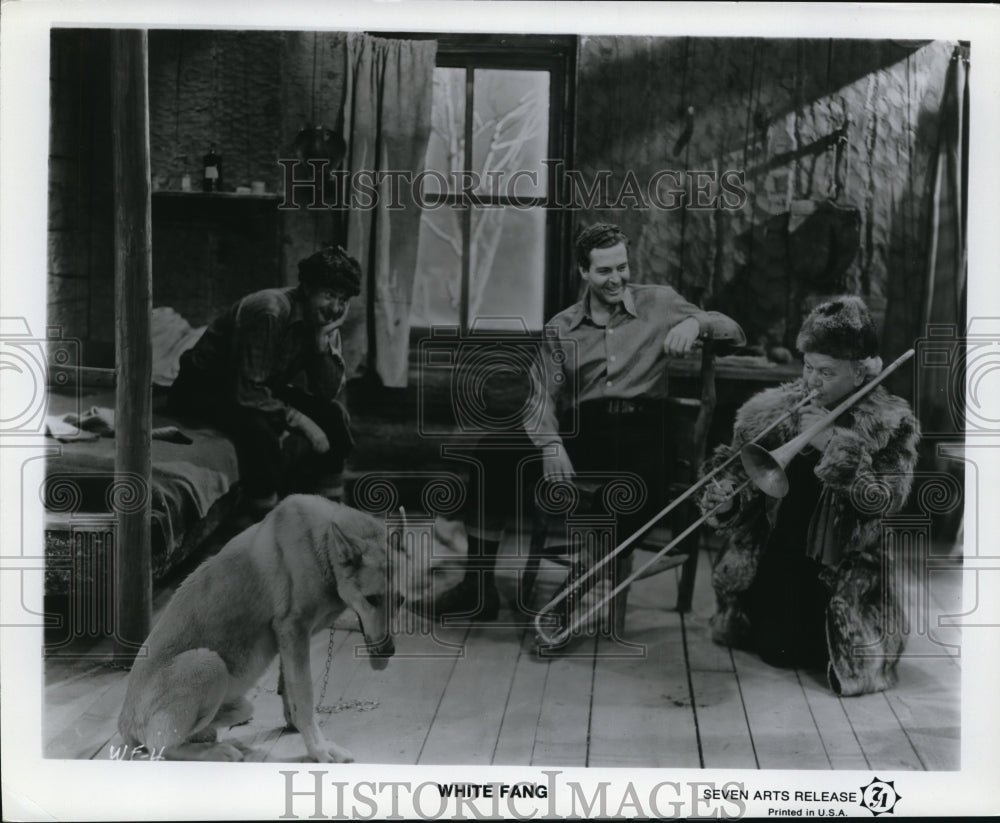 Press Photo Scene At The White Fang Movie - ney10843