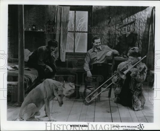 Press Photo Scene At The White Fang Movie - ney10843