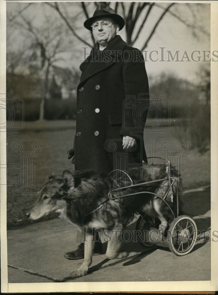 Load image into Gallery viewer, 1943 Press Photo Sandy 11 Year Old Collie Paralyzed Uses Cart Made by Gene Spold
