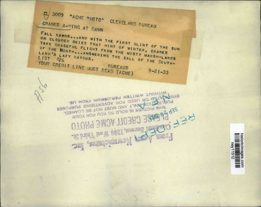 1933 Press Photo Cranes Flying at Dawn - ney11512