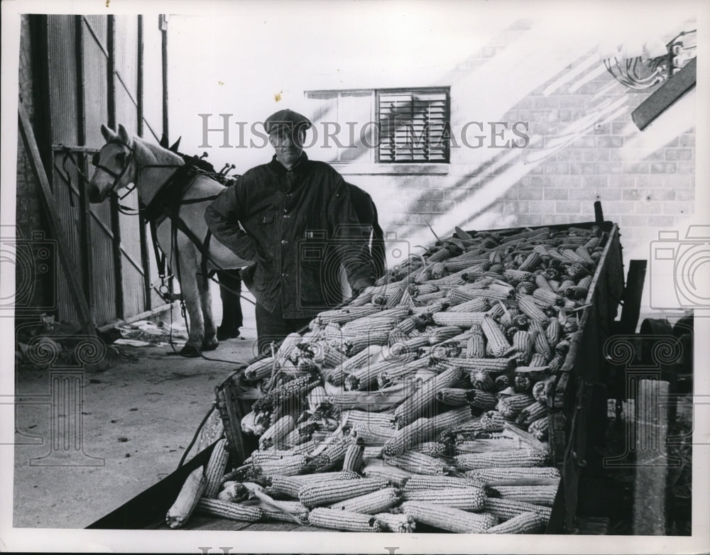 1963 Press Photo Farmer with Corn Harvest - ney11556