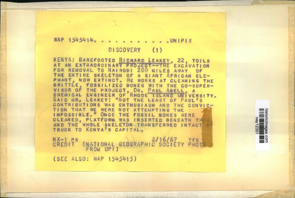 1967 Press Photo Giant African Elephant Skeleton Excavated in Kenya - ney12351