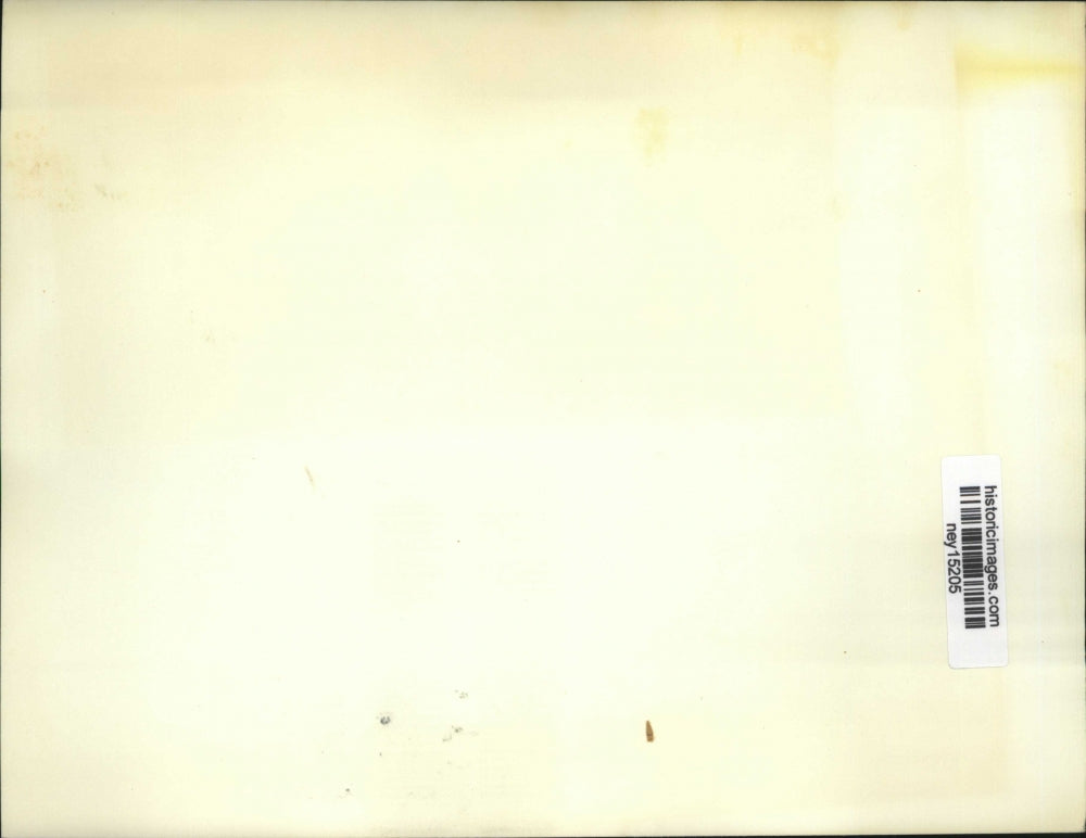 1971 Press Photo Magic Gave Birth To 10 Puppies And Nursing 2 Cubs - ney15205