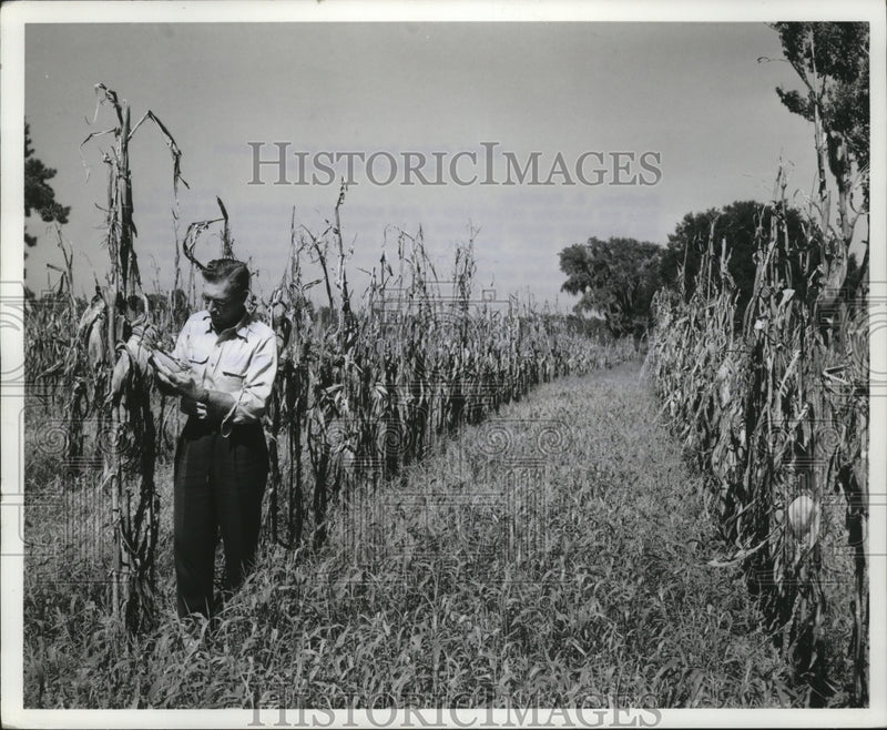 Load image into Gallery viewer, 1968 Press Photo USDA Biologist Checks Duck Feed at Bluffton, South Carolina

