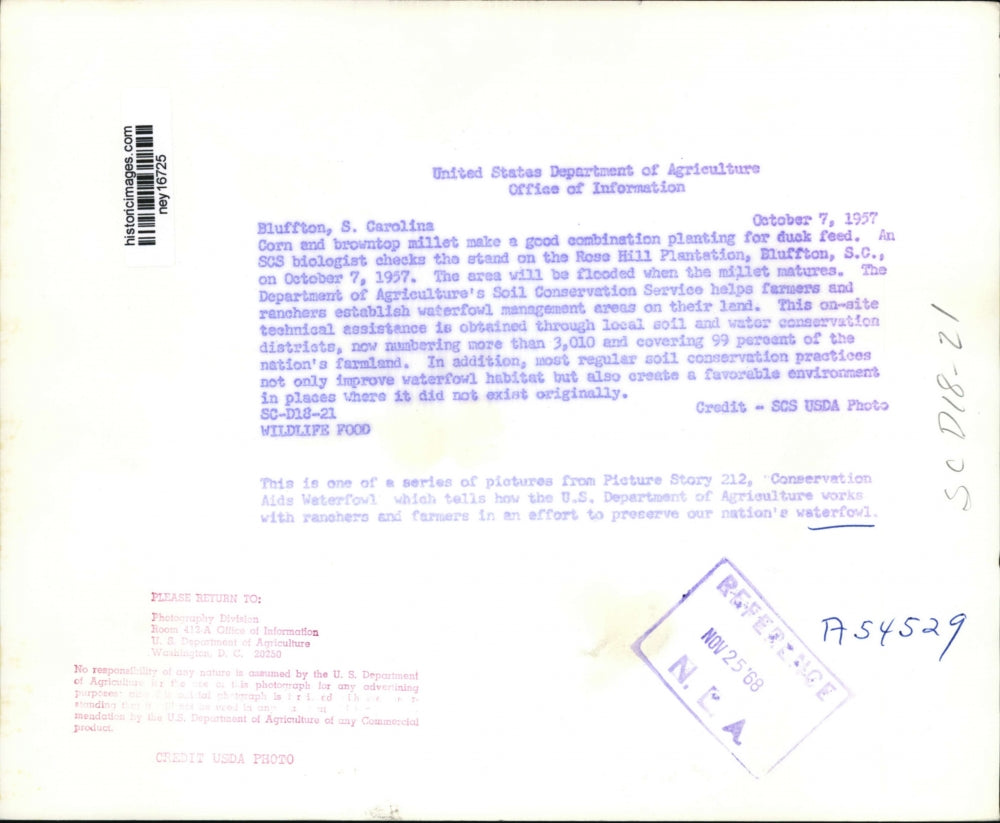 1968 Press Photo USDA Biologist Checks Duck Feed at Bluffton, South Carolina