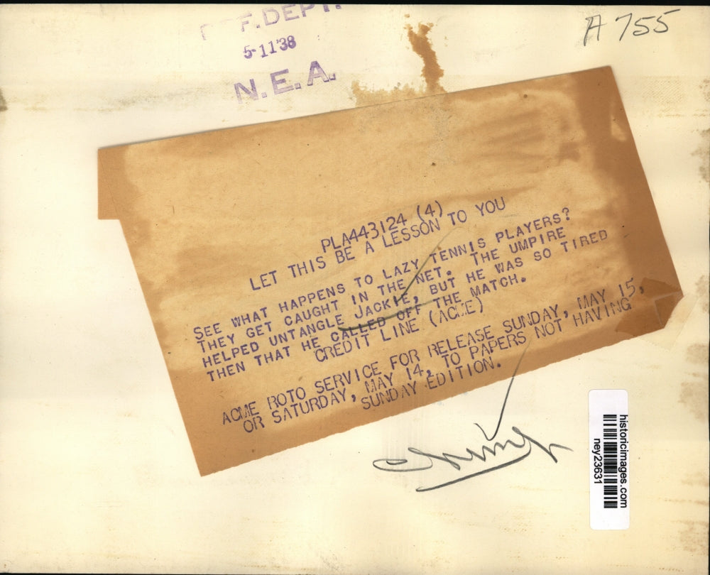 1938 Press Photo Jackie the Chimpanzee Tangled in Tennis Net - ney23631