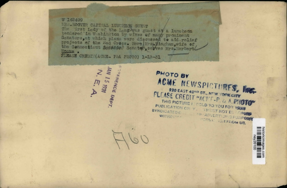 1931 Press Photo Mrs Hoover Guest at Luncheon By Wives of Prominent Senators