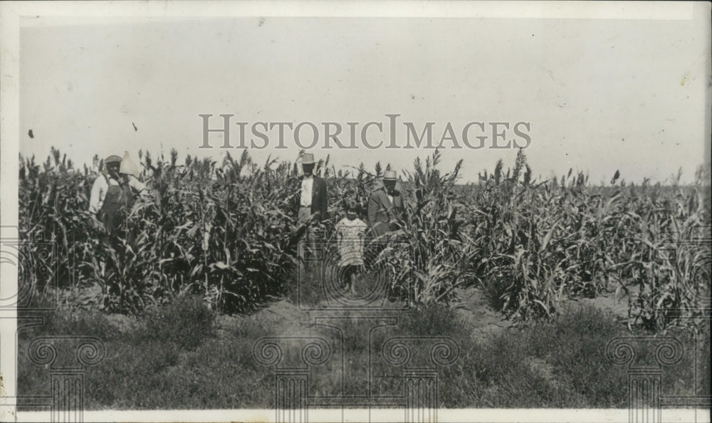 1934 Press Photo Workers in Russian Thstle field at farm of CS Betts - ney30757