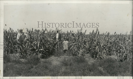 1934 Press Photo Workers in Russian Thstle field at farm of CS Betts - ney30757