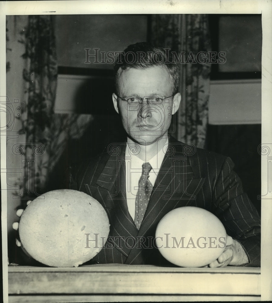 1944 Press Photo Chicago Museum Acquires Largest and Oldest Ostrich Egg