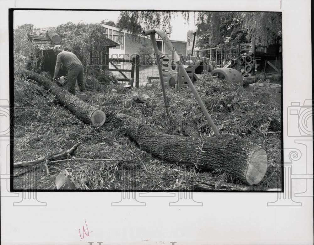 Press Photo Charley Tirrell Cleans up Fallen Willow Tree, Winsted, Connecticut- Historic Images