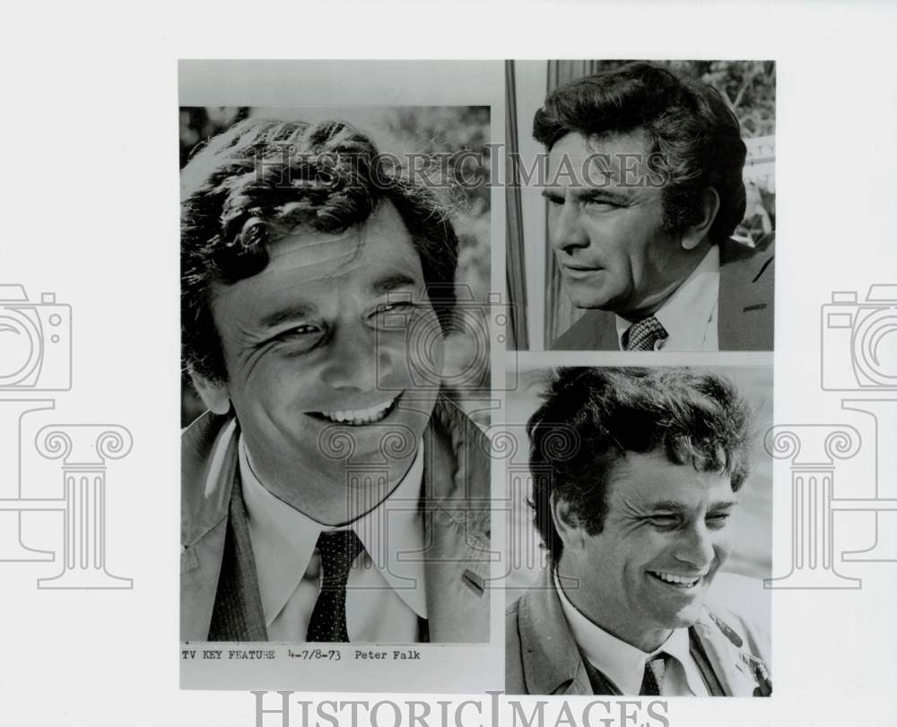 1973 Press Photo Peter Falk, actor - nhx00151- Historic Images