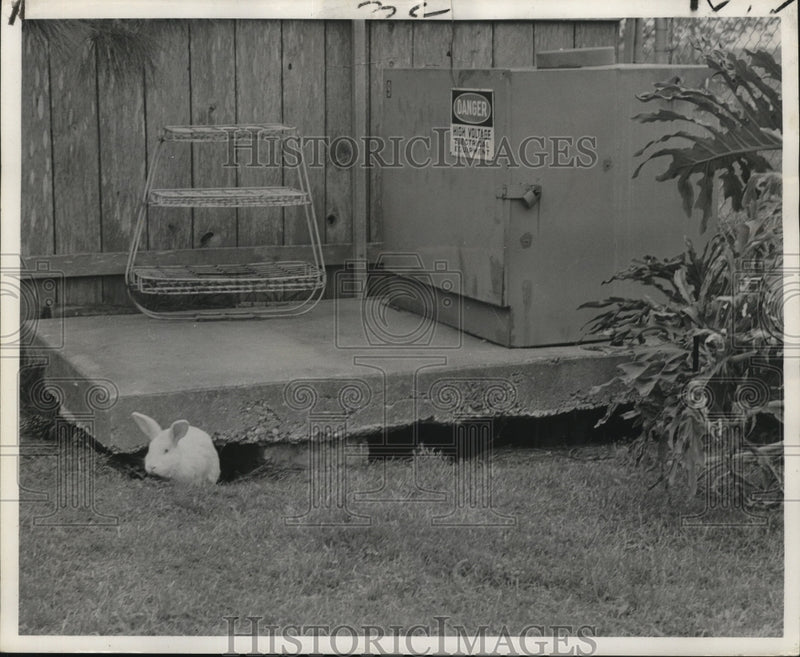 Load image into Gallery viewer, 1975 Press Photo Draining wetlands, causes repair problems for home owners
