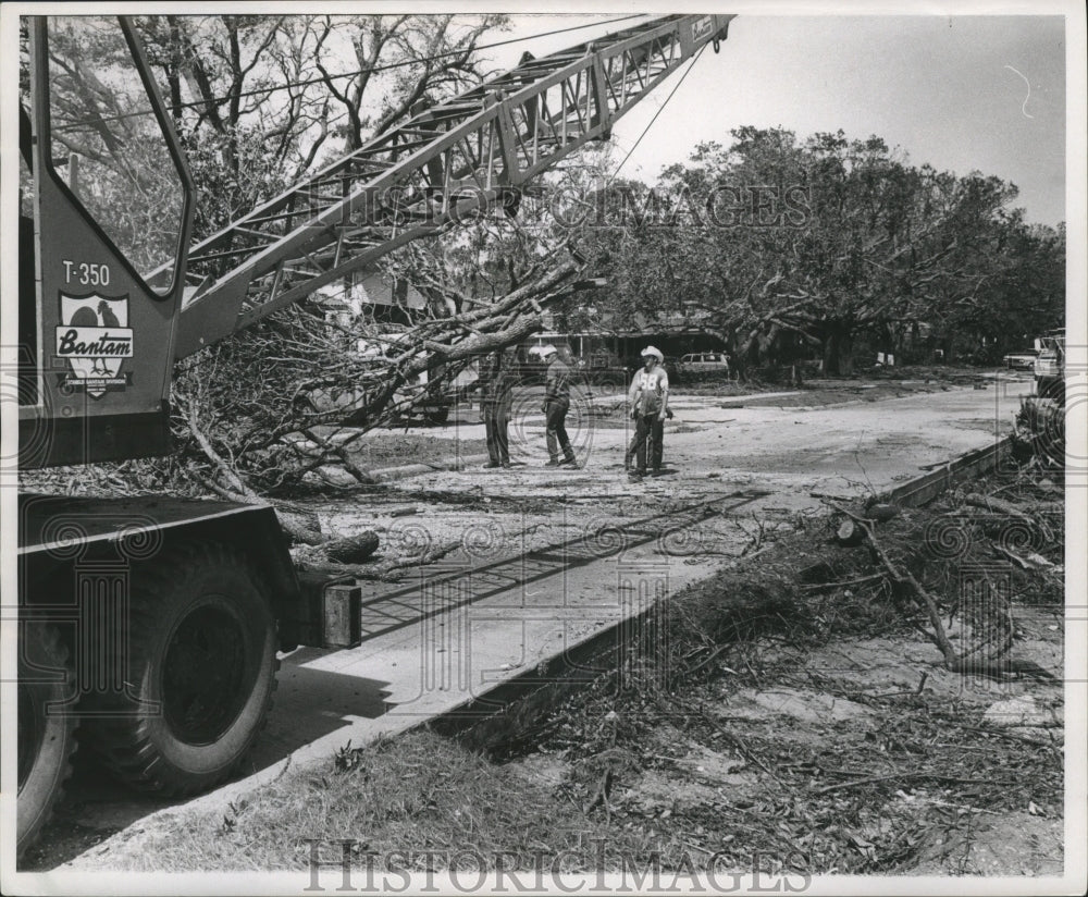 1969 Press Photo Crew Removes Fallen Trees from Street, Hurricane Camille