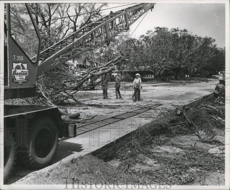 Load image into Gallery viewer, 1969 Press Photo Crew Removes Fallen Trees from Street, Hurricane Camille

