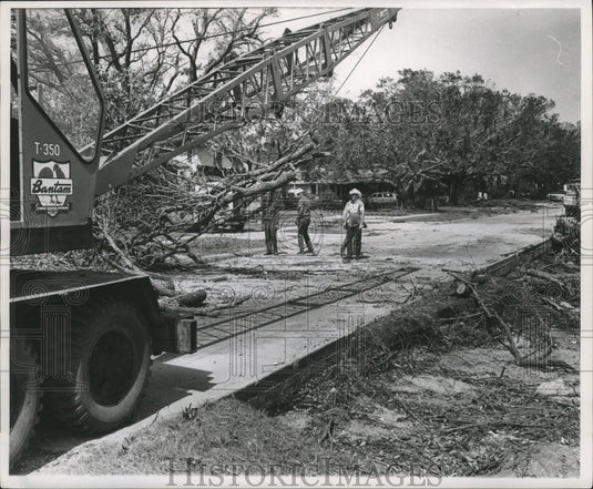 1969 Press Photo Crew Removes Fallen Trees from Street, Hurricane Camille