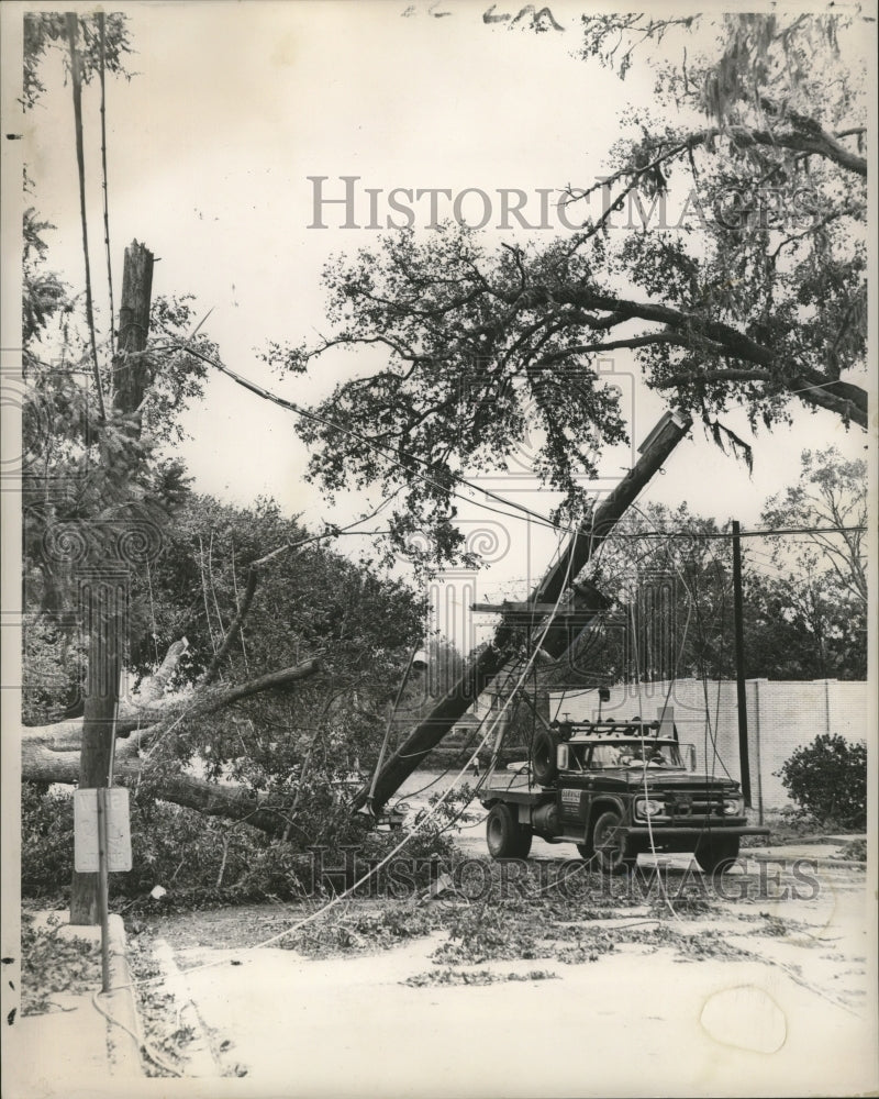 1964 Press Photo Hurricane Hilda-Dangling electrical wires and uprooted trees.
