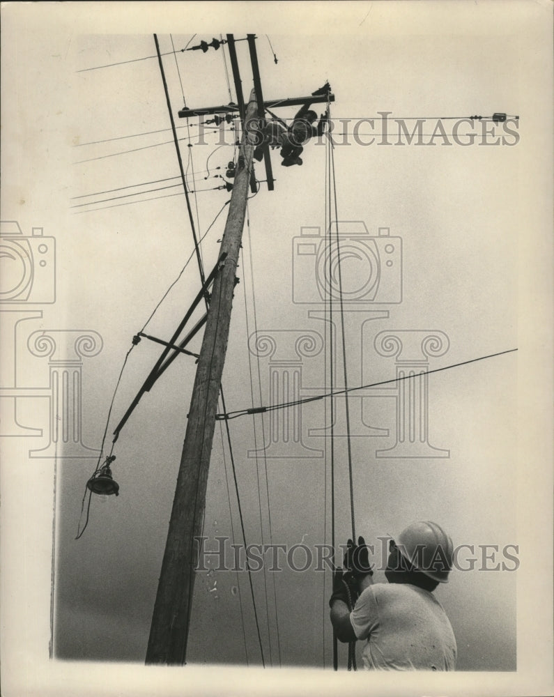 1965 Press Photo Hurricane Betsy- Men repairing power lines-Monticello near Oak- Historic Images