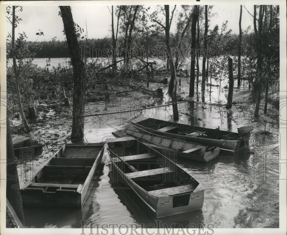  Press Photo Swampland-Acadian Throughway- - Historic Images