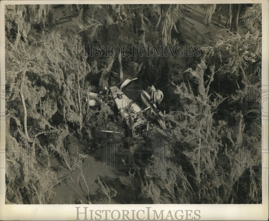 1960 Press Photo Swampland- View of crashed plane in Swampland. - noa03748- Historic Images