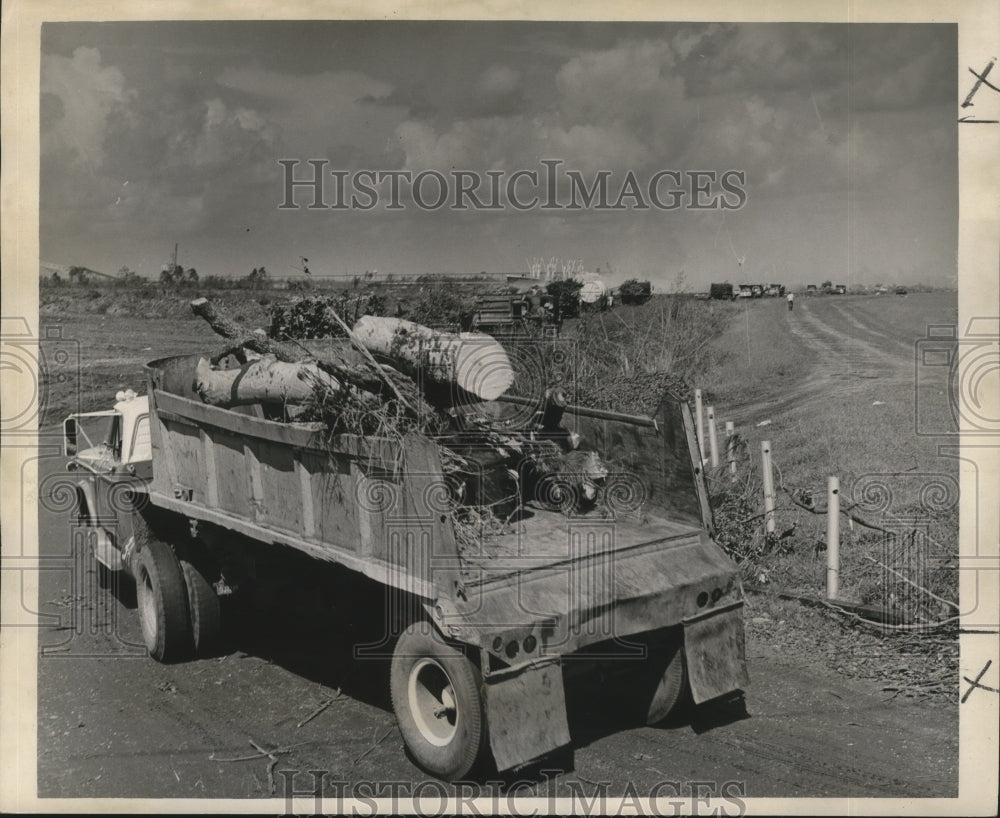 1965 Press Photo Hurricane Betsy- Endless line of debris laden trucks.- Historic Images