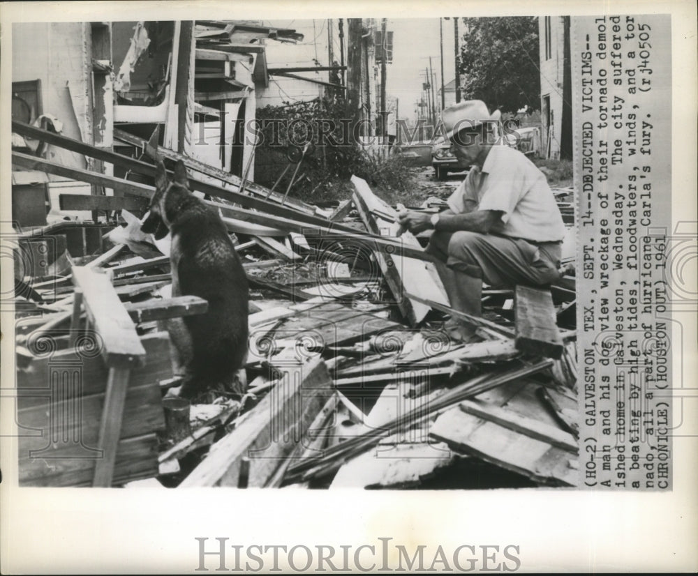 1961 Press Photo Hurricane Carla-A man and his dog view wreckage of their home.