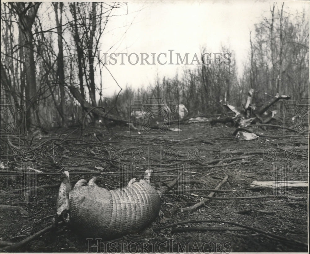 1975 Press Photo Crash debris from C-130 plane in Alvin Callender field