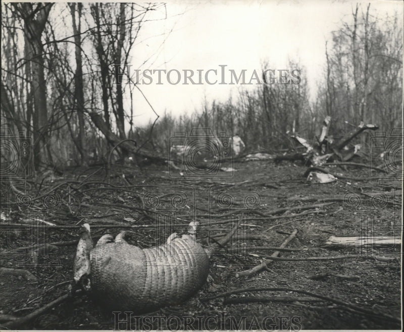 Load image into Gallery viewer, 1975 Press Photo Crash debris from C-130 plane in Alvin Callender field
