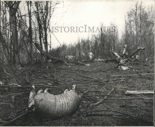 1975 Press Photo Crash debris from C-130 plane in Alvin Callender field