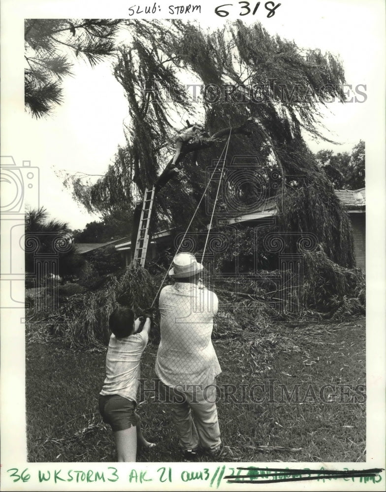 Load image into Gallery viewer, 1985 Press Photo Hurricane Danny - Frank &amp; Shawn Fouchi Attempt to Move Tree
