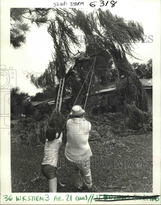 1985 Press Photo Hurricane Danny - Frank & Shawn Fouchi Attempt to Move Tree
