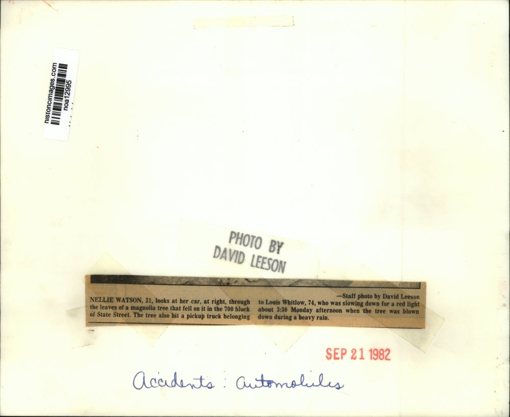 1982 Press Photo Accidents - A tree blown onto car on State Street during storm.