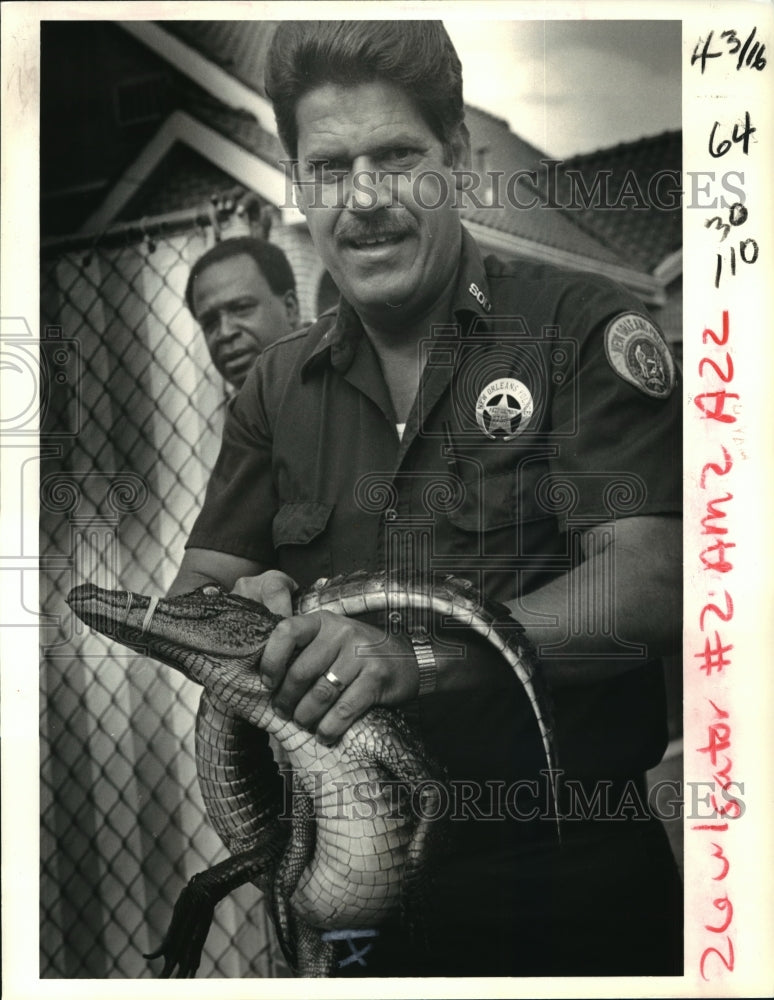 Load image into Gallery viewer, 1986 Press Photo Ecology Squard Police Officer Louis Lesage with alligator
